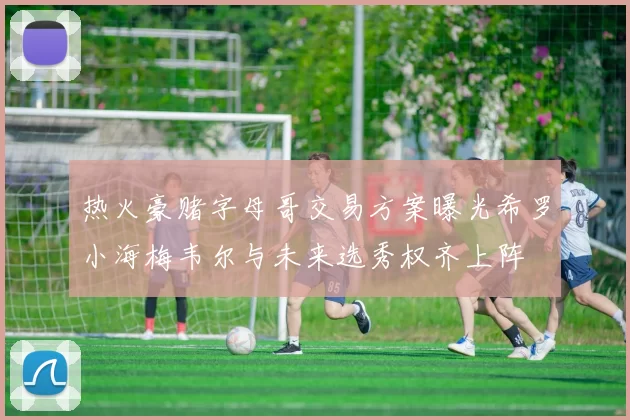 热火豪赌字母哥交易方案曝光希罗小海梅韦尔与未来选秀权齐上阵