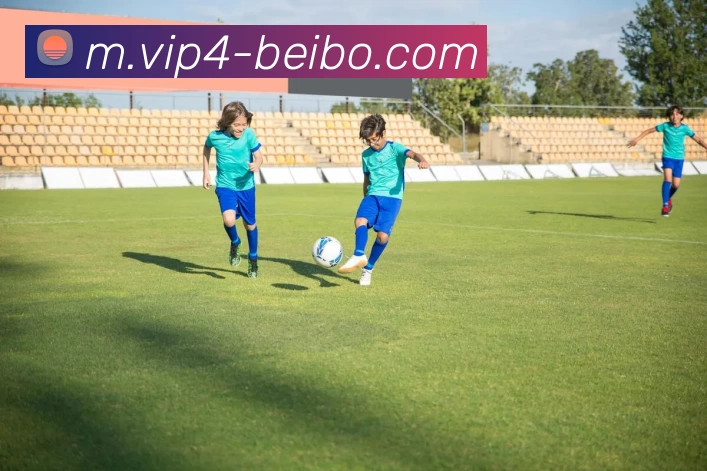 贝博体育平台生态图